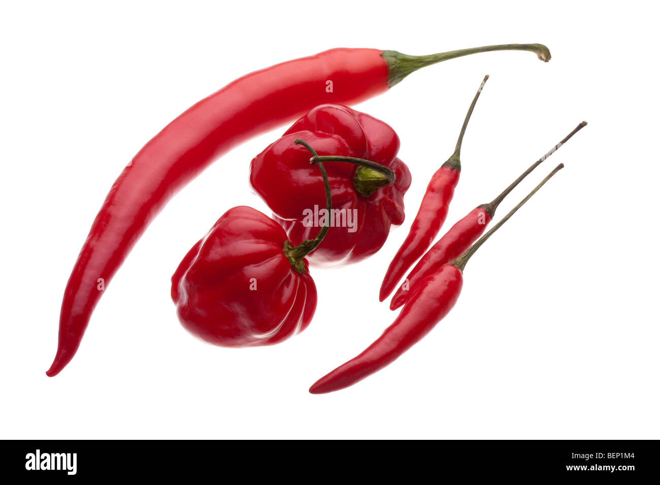 Eine Auswahl an rote Chilis isoliert auf weißem Hintergrund, einschließlich Clipping-Pfad. Stockfoto