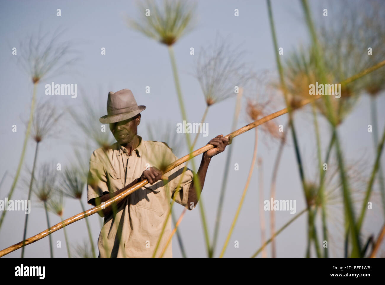 Mokoro-Poler. Okavango Delta, Botswana, Afrika. Stockfoto