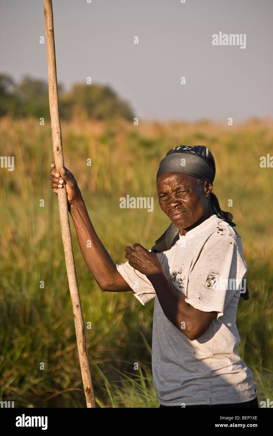 Mokoro-Poler. Okavango Delta, Botswana, Afrika. Stockfoto