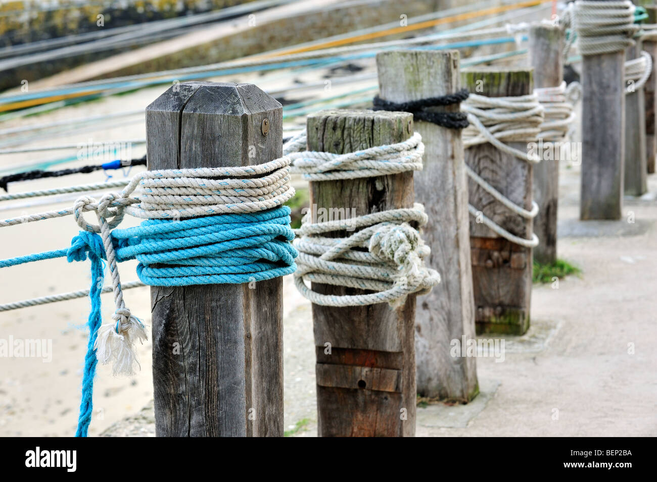 Seile verknotet, um hölzerne Liegeplatz Pfosten am Port Racine, dem kleinsten Hafen in Frankreich in Saint-Germain-des-Vaux, Normandie Stockfoto