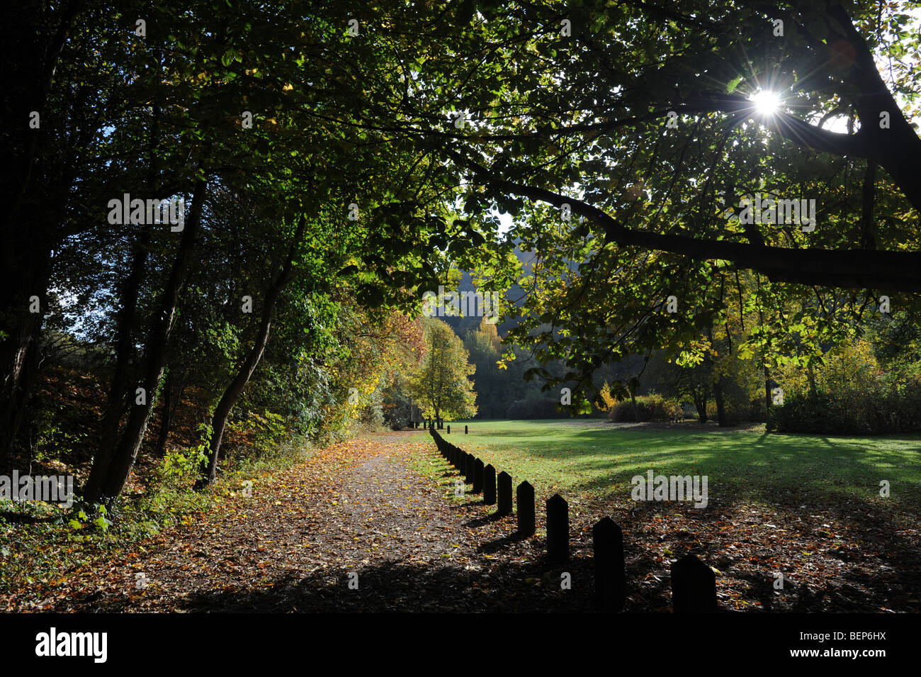 Am frühen Morgen im Herbst Shropshire England Uk Stockfoto