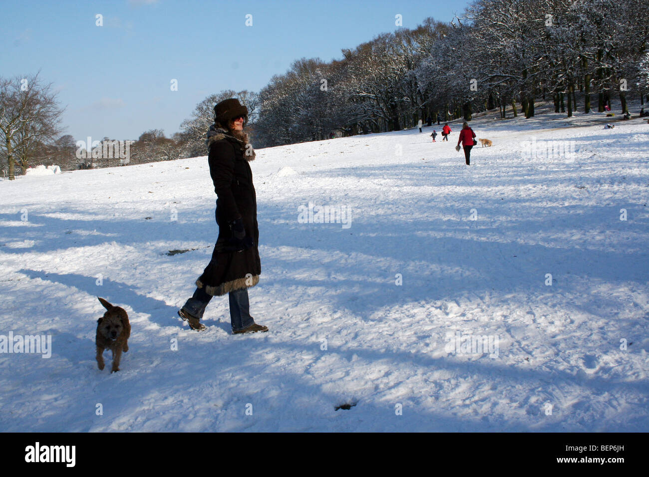 Frau zu Fuß im verschneiten park Stockfoto