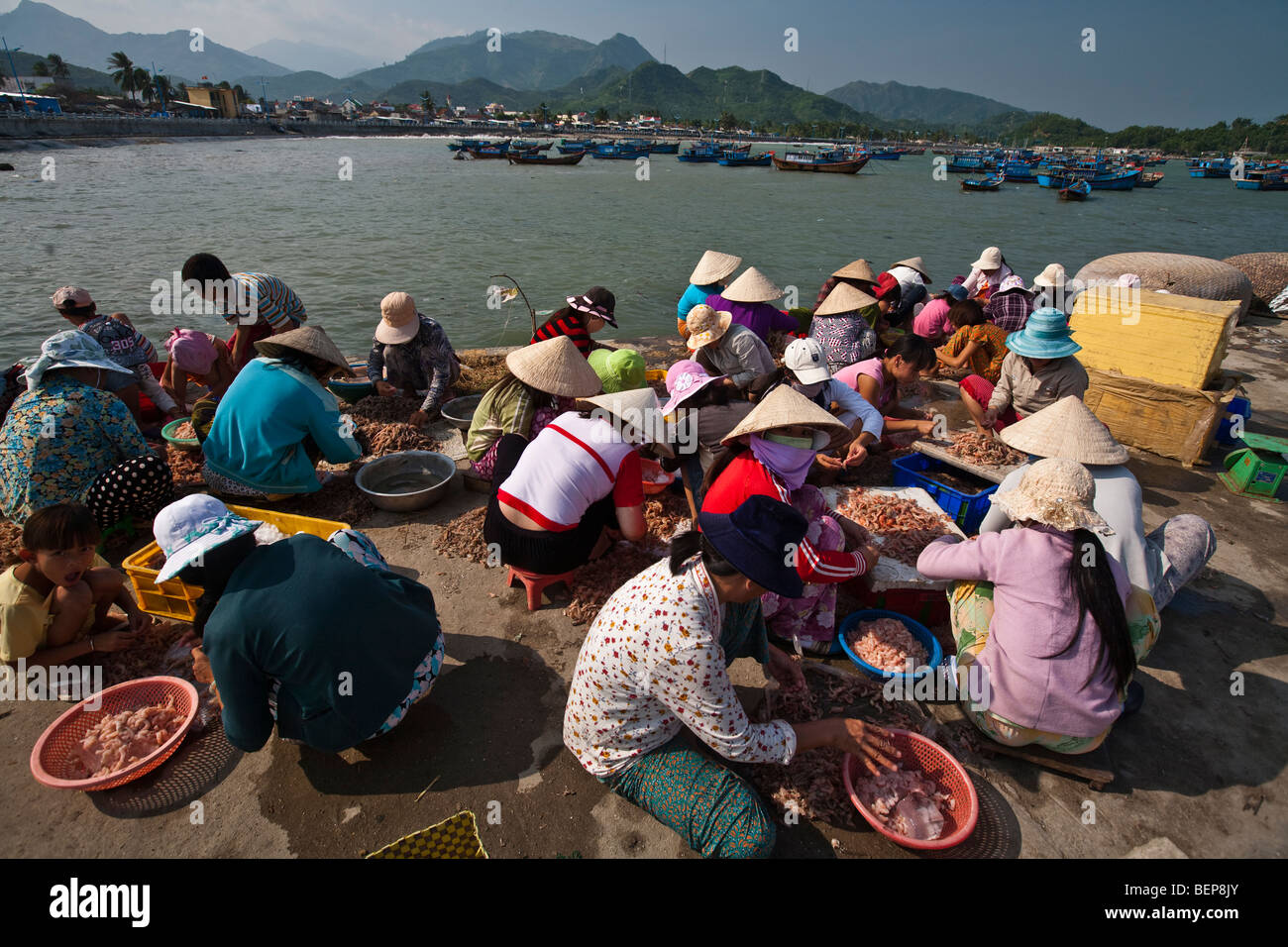 Dorfbewohner reinigen Sie am morgens Fisch fangen und bereitet sie für den Markt in Nha Trang, Vietnam. Stockfoto