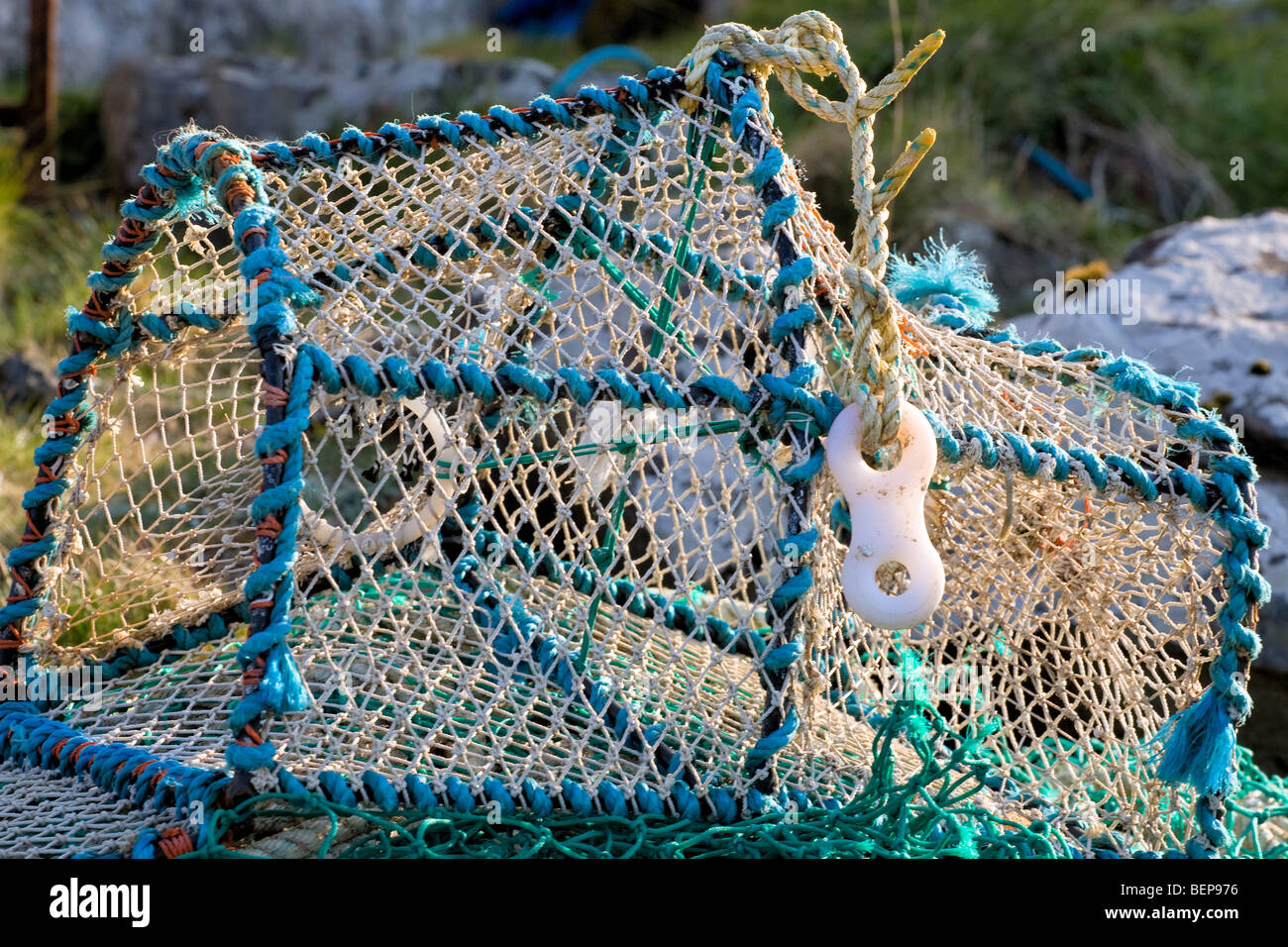 Lobster Pot Stockfoto