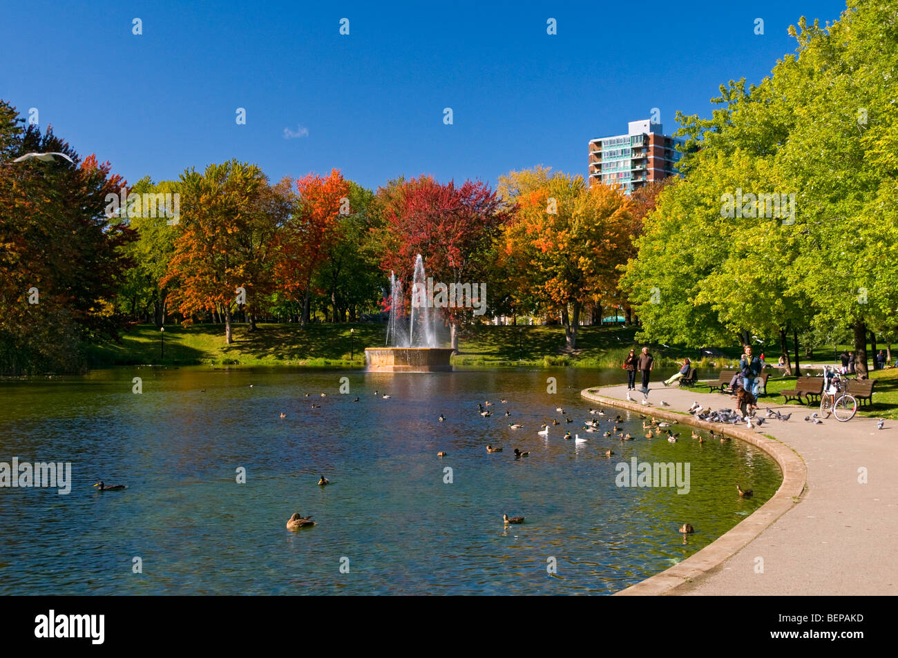 Park-Lafontaine Herbst Montreal Kanada Stockfoto