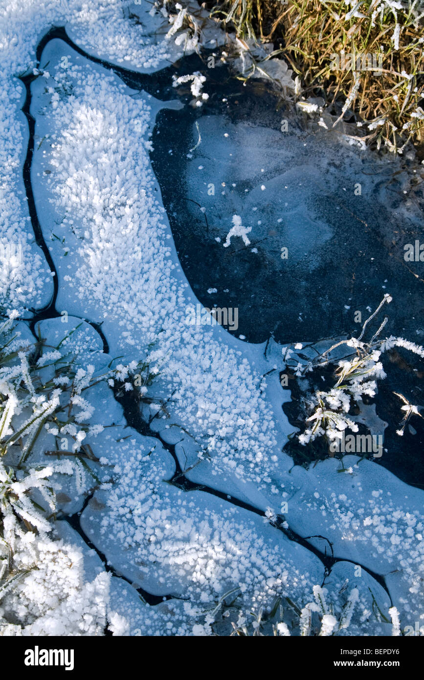 Luftblasen eingeschlossen im Eis der zugefrorenen See im winter Stockfoto