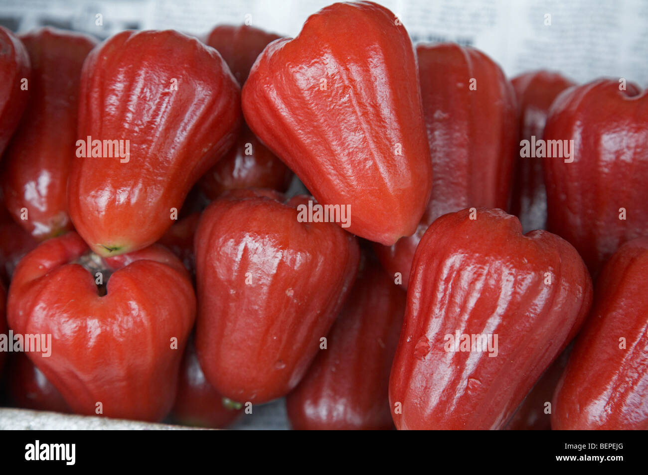 VIETNAM Saigon Obstmarkt. Java Apfel andere Namen: Wachs Apfel, Wachs Jambu, Wasser Apfel, Jamrul, Amrul, Chom Pu Kio, Kaimito, Stockfoto