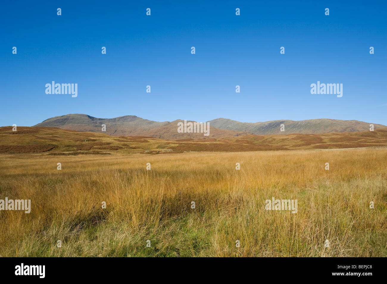 Glen mehr, Isle of Mull, Schottland Stockfoto