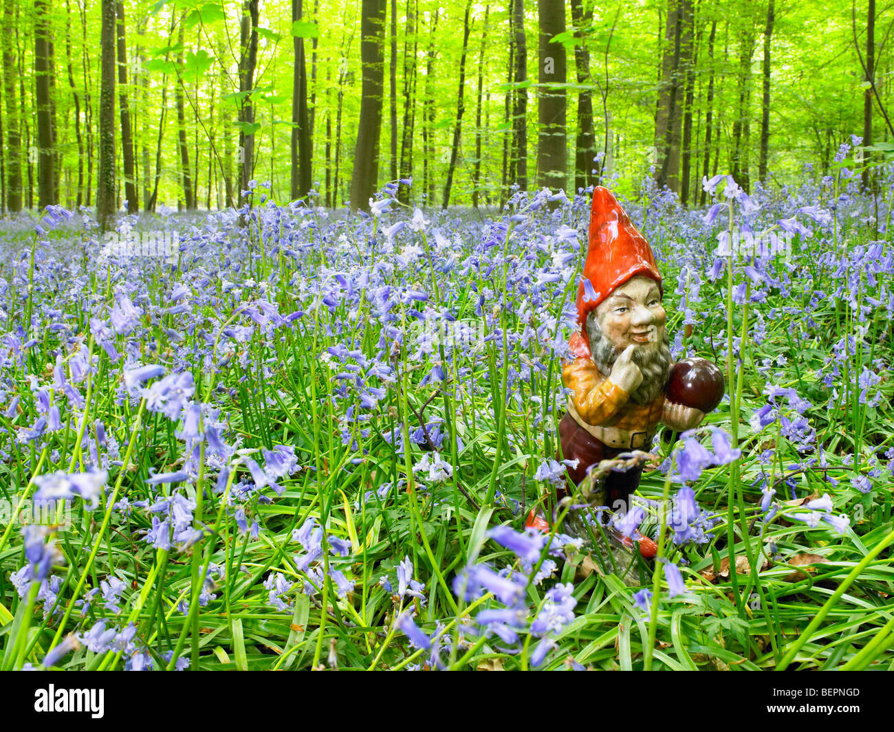 Gartenzwerg im Wald Stockfoto