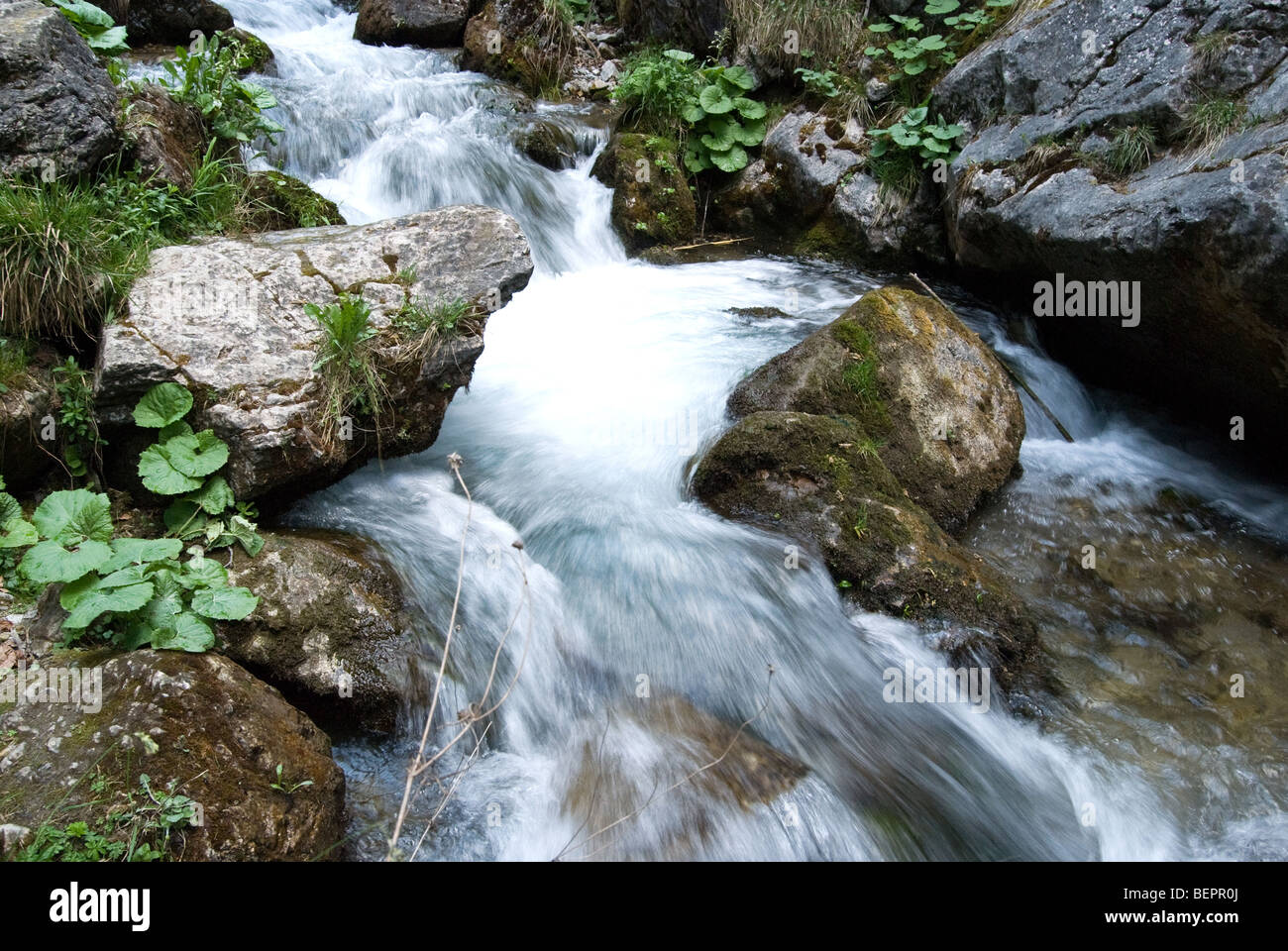 Wasser aus den Bergen in Prosiek, Slowakei. Stockfoto