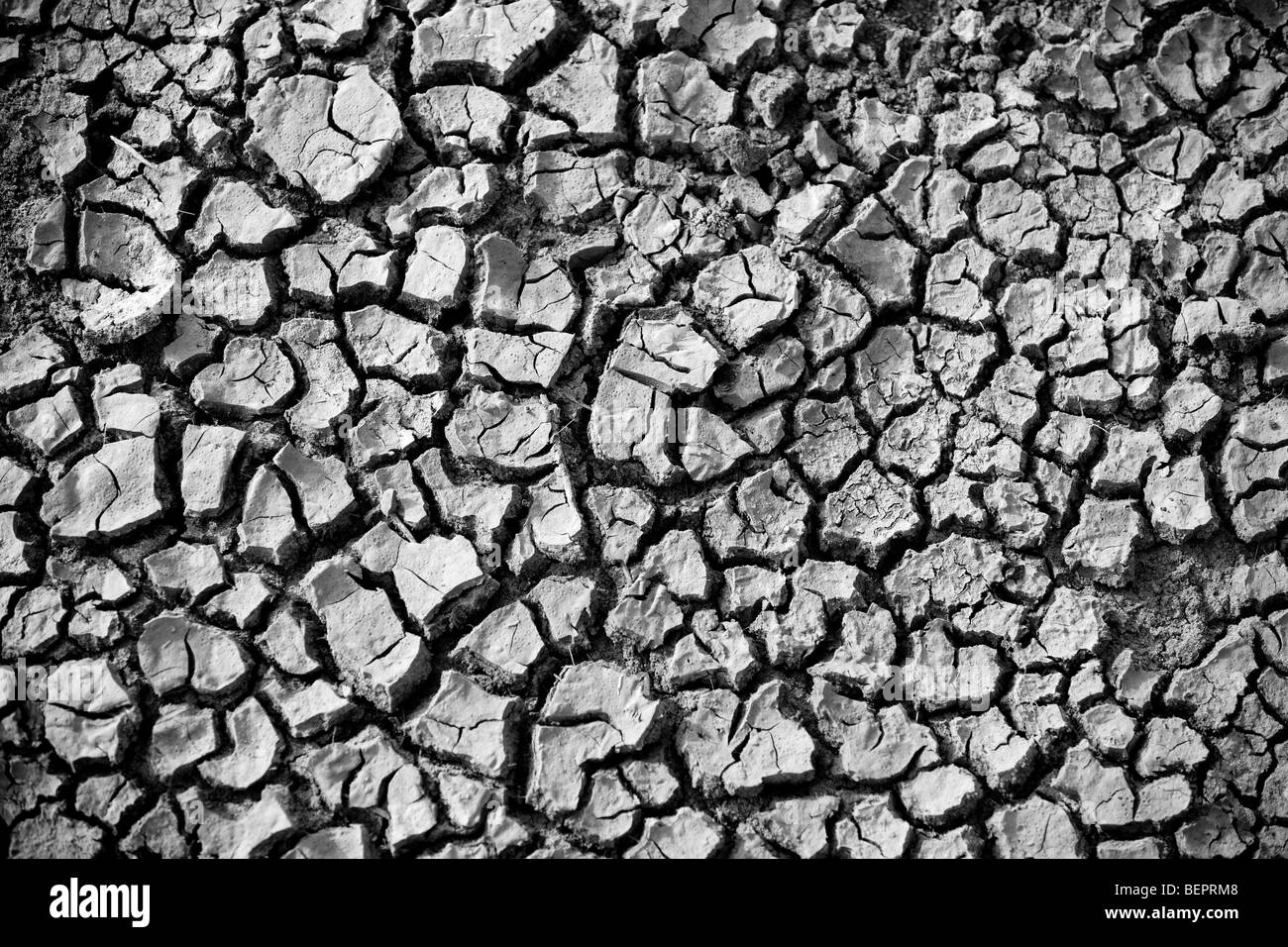 Umweltkonzept, Wasserknappheit und Dürre trockene rissige Schlamm Stockfoto
