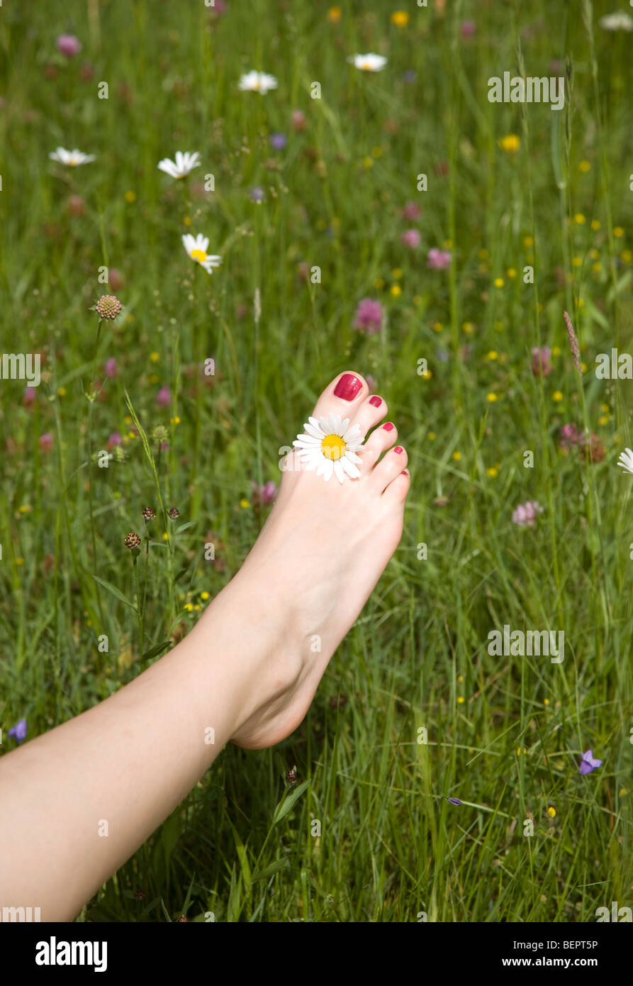 Frau Fuß Gras mit Blume Stockfoto