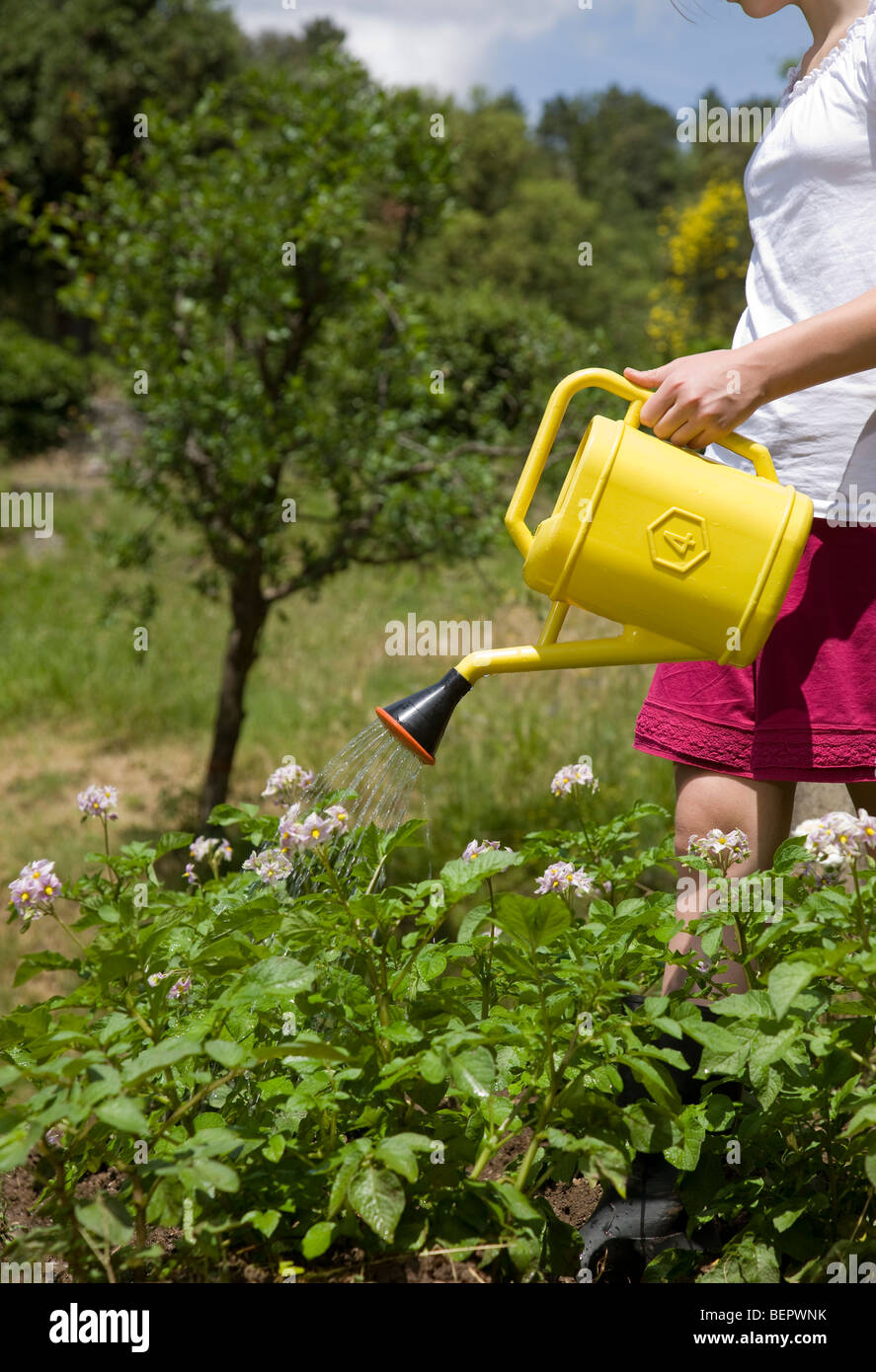 Mädchen Bewässerung Pflanzen Stockfoto