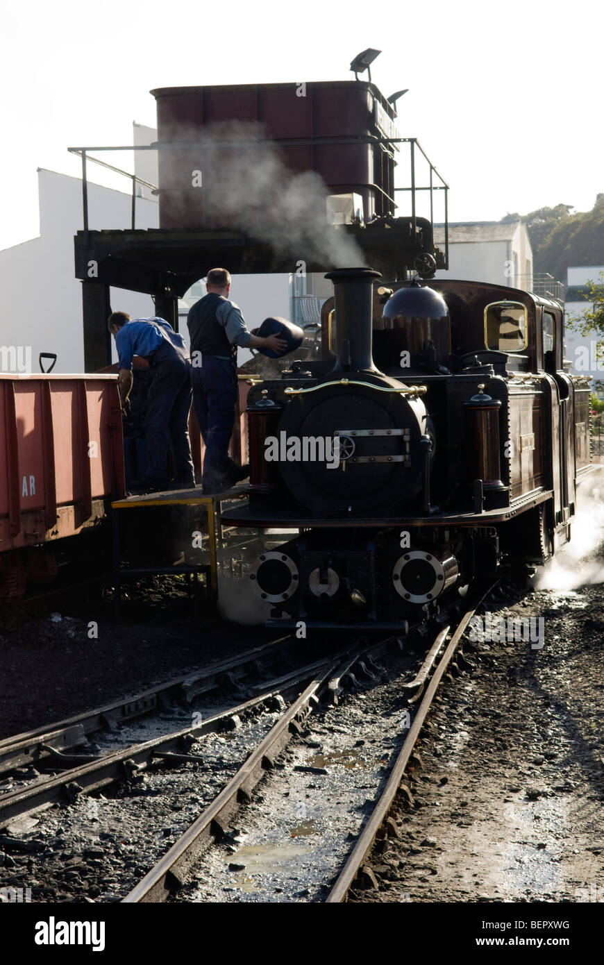 Schürt den Motor von einem Dampfzug an Porthmadog Station, die wieder Bahn, Gwynedd, Wales. Stockfoto