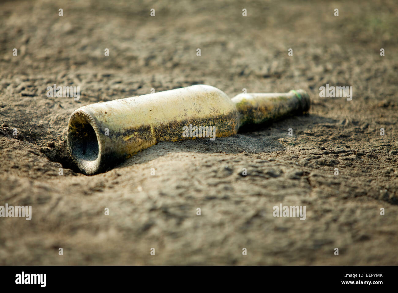 Flasche ans Ufer gespült Stockfoto