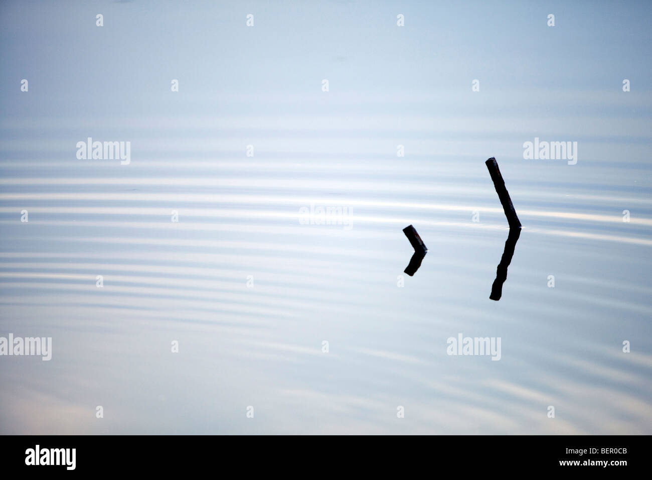 Ruhige, friedliche Wasserteich Stockfoto