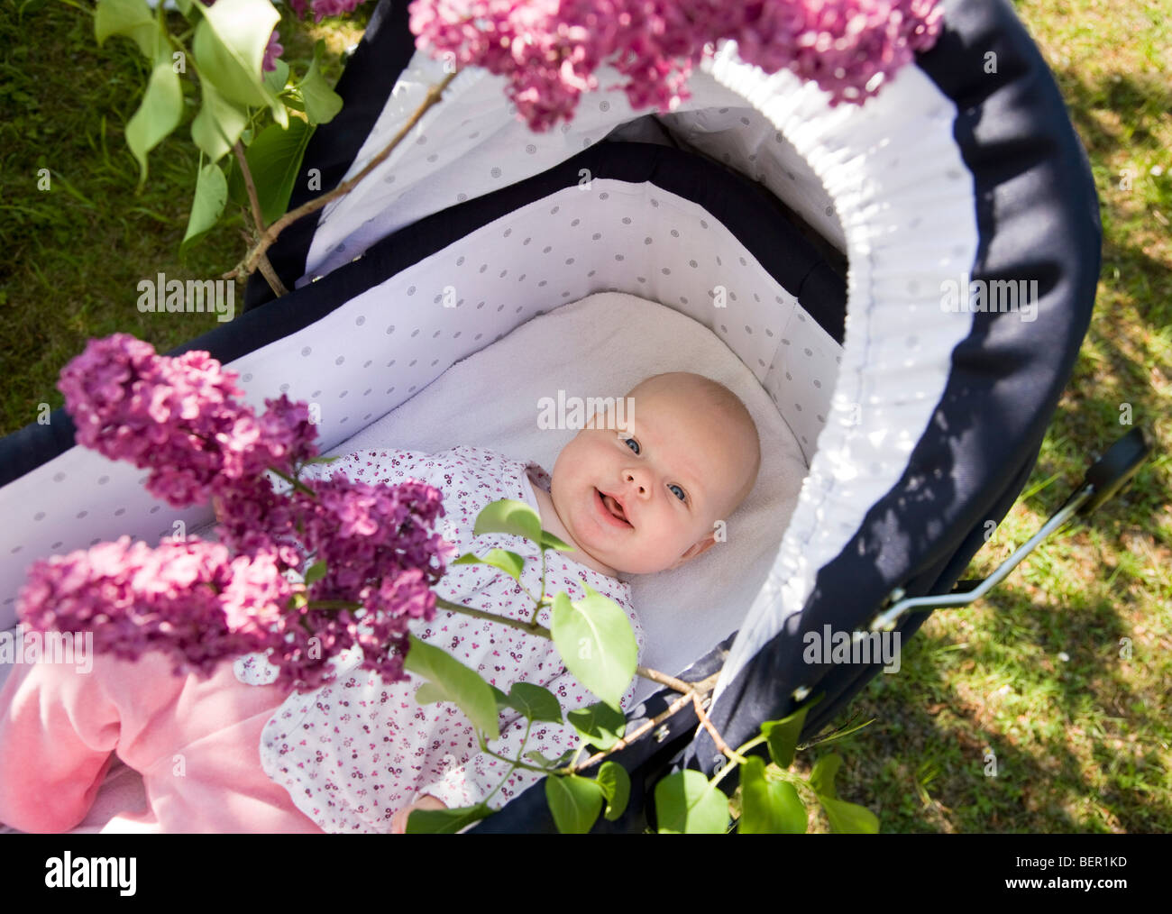 Baby im Kinderwagen mit lila Blüte Stockfoto