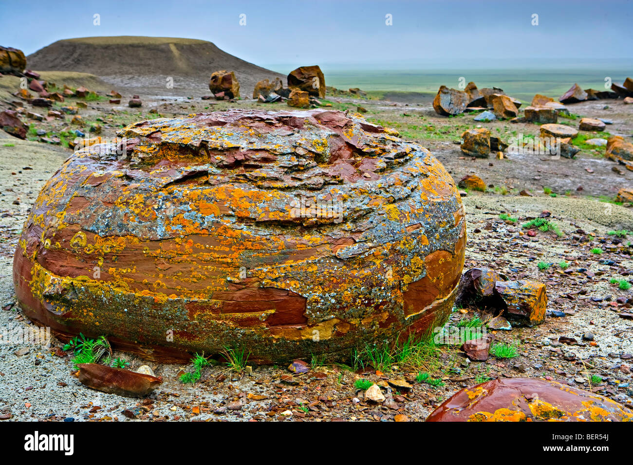 Große Felsbrocken, die Sandstein-Konkretionen in prähistorischen See gesehen in den Red Rock Coulee Naturgebiet gebildet sind befindet sich 65 k Stockfoto