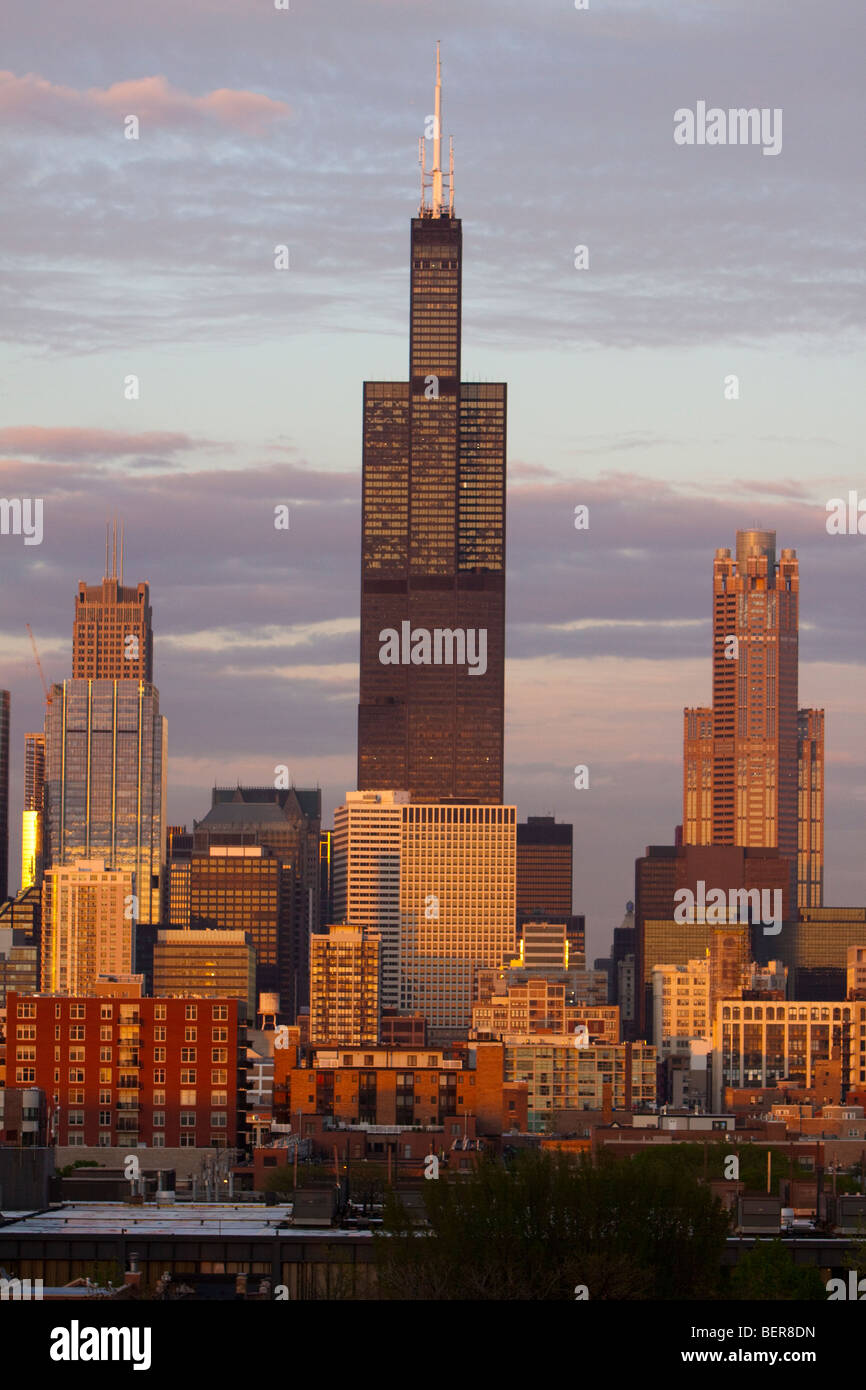 Die letzten Sonnenstrahlen spiegeln sich der (Willis) Sears Tower in Chicago, IL an einem lauen Sommerabend. Stockfoto