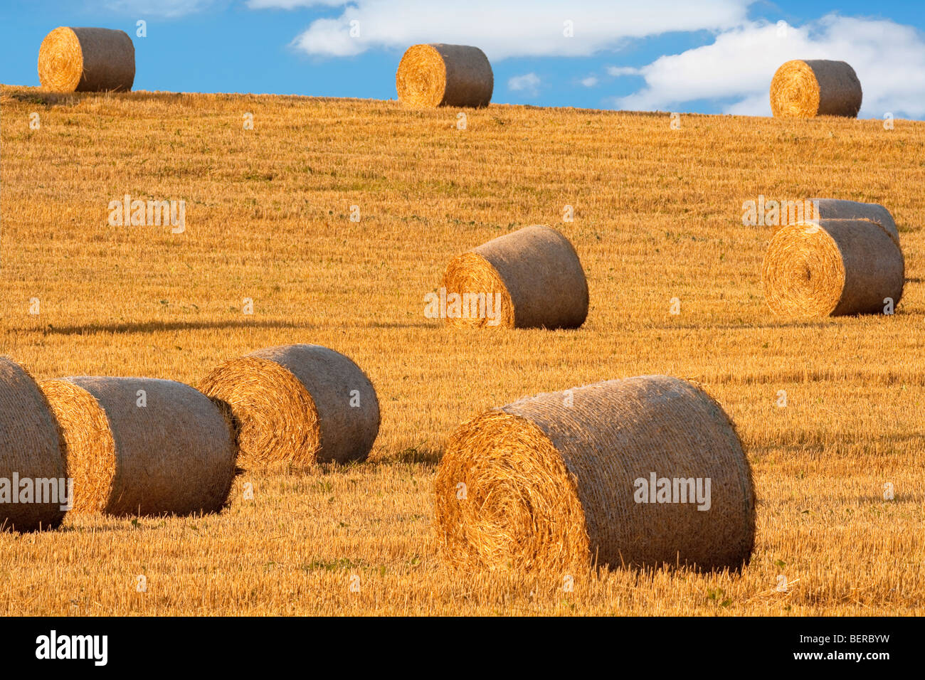 Feld mit Ballen Heu, blauer Himmel, Böhmen, Tschechien Stockfoto