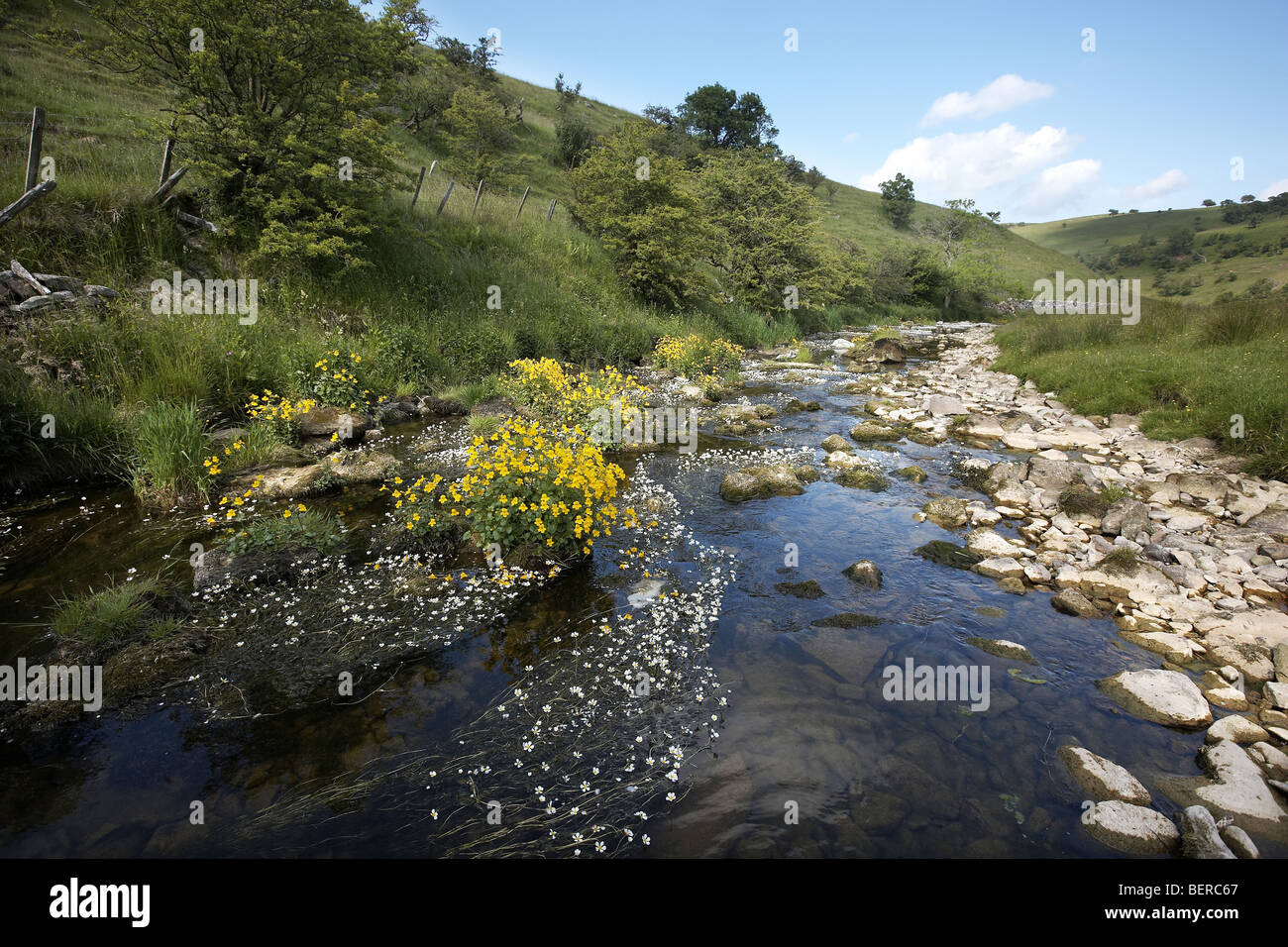 Skandal-Beck fließt durch Smardale Gill National Nature Reserve Cumbria, UK Stockfoto