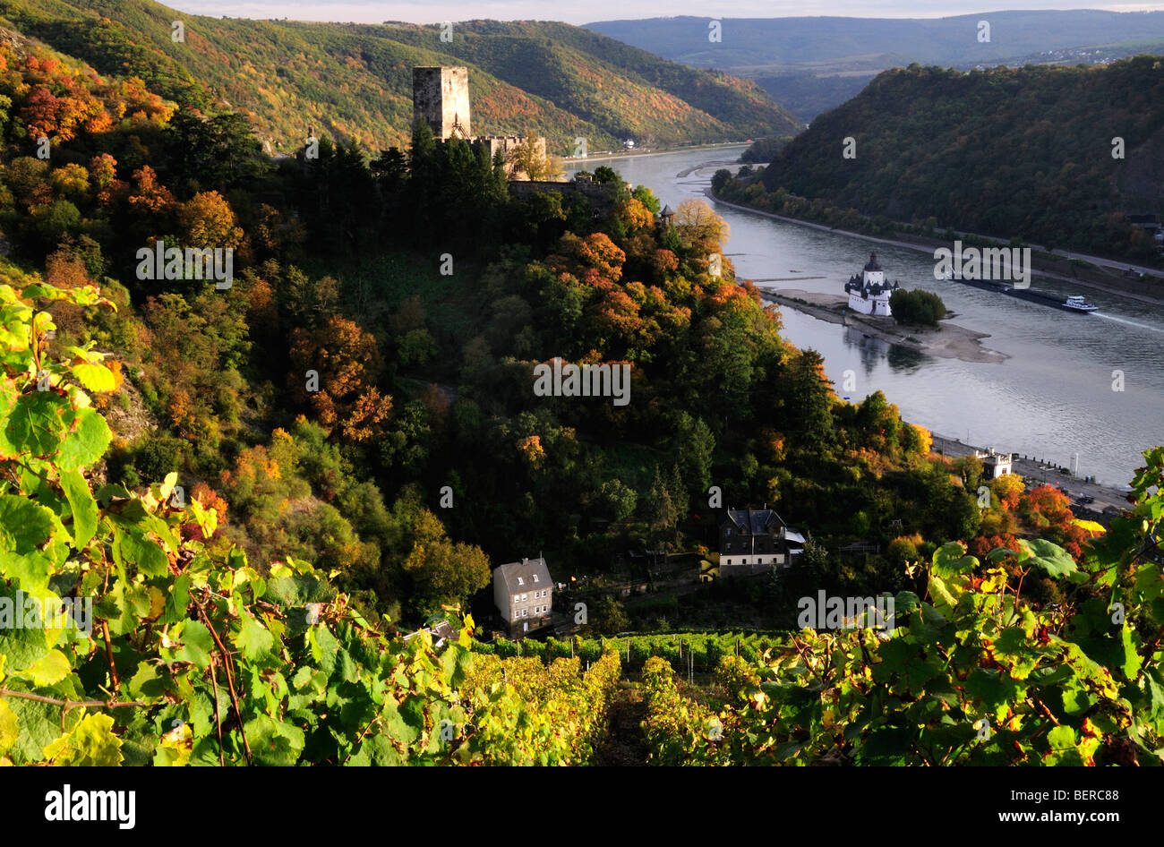 Rhein Tal Schloss Burg Gutenfels mit Weinbergen, Deutschland Stockfoto
