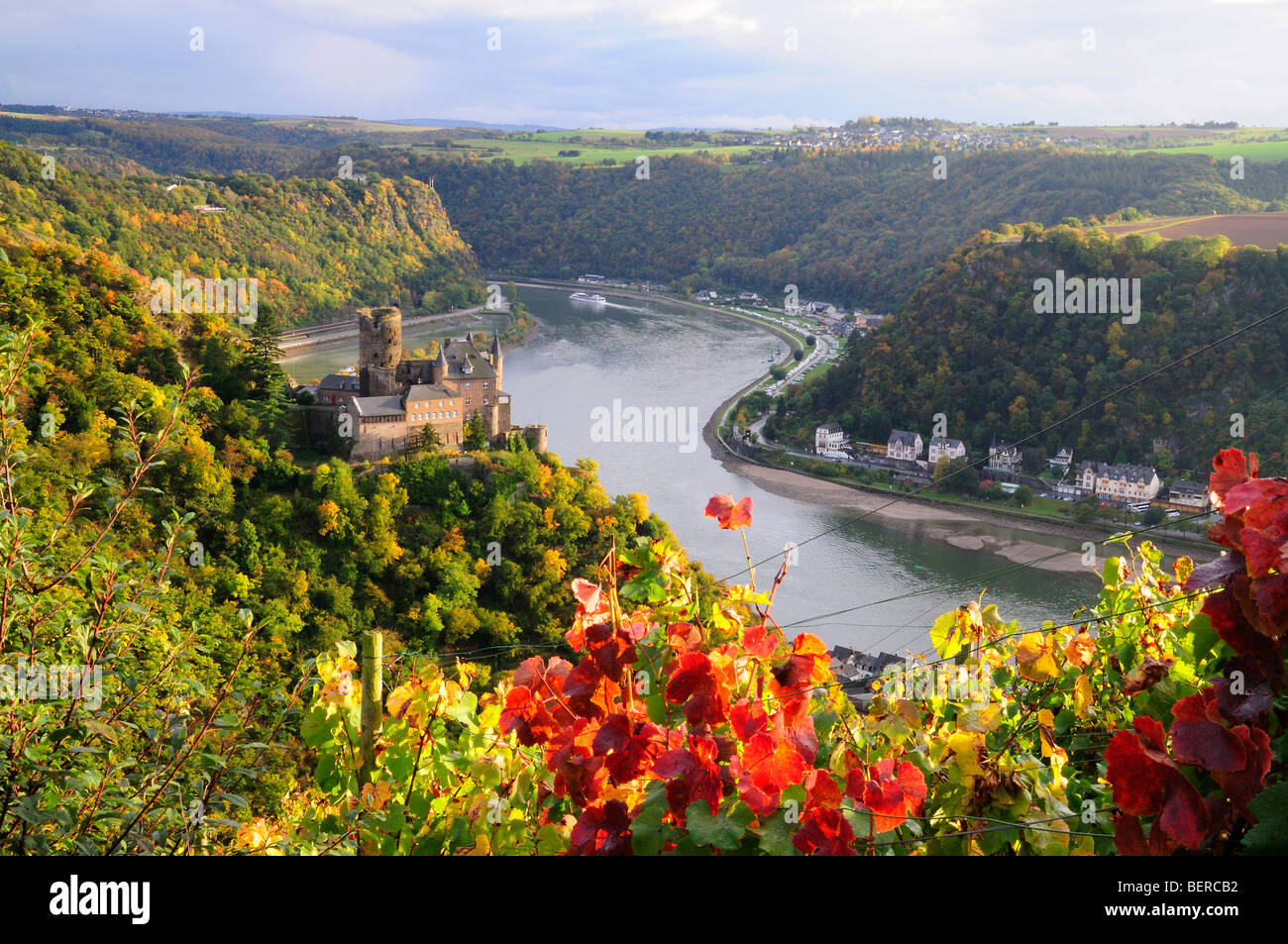 Burg Katz, Weinberg im Rheintal, Deutschland Stockfoto