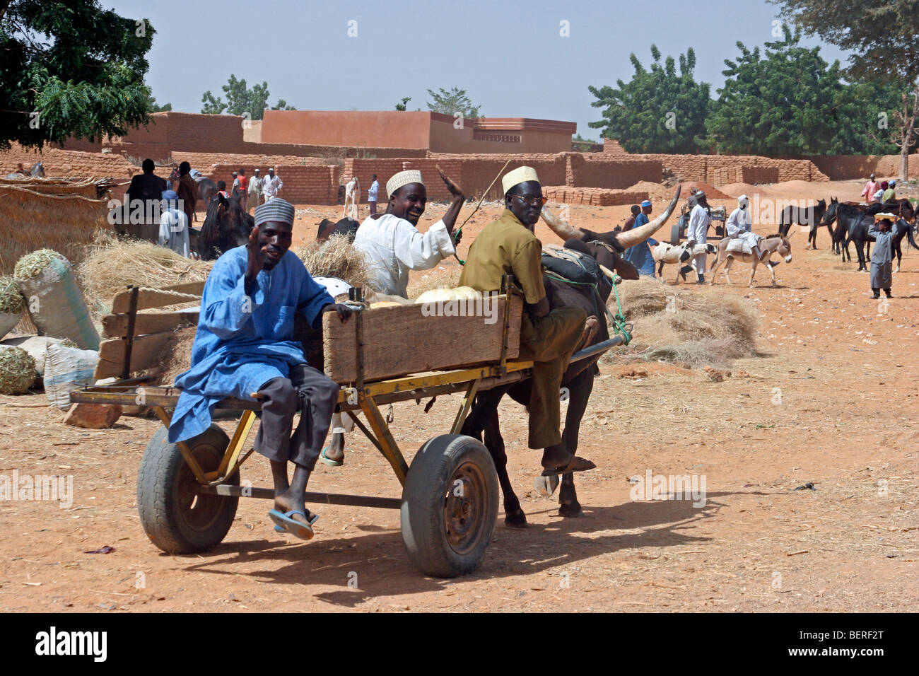 Schwarze Männer reiten Ochse / Zebu angetrieben Wagen mit Ware auf den Markt in Zinder, Niger, Westafrika Stockfoto
