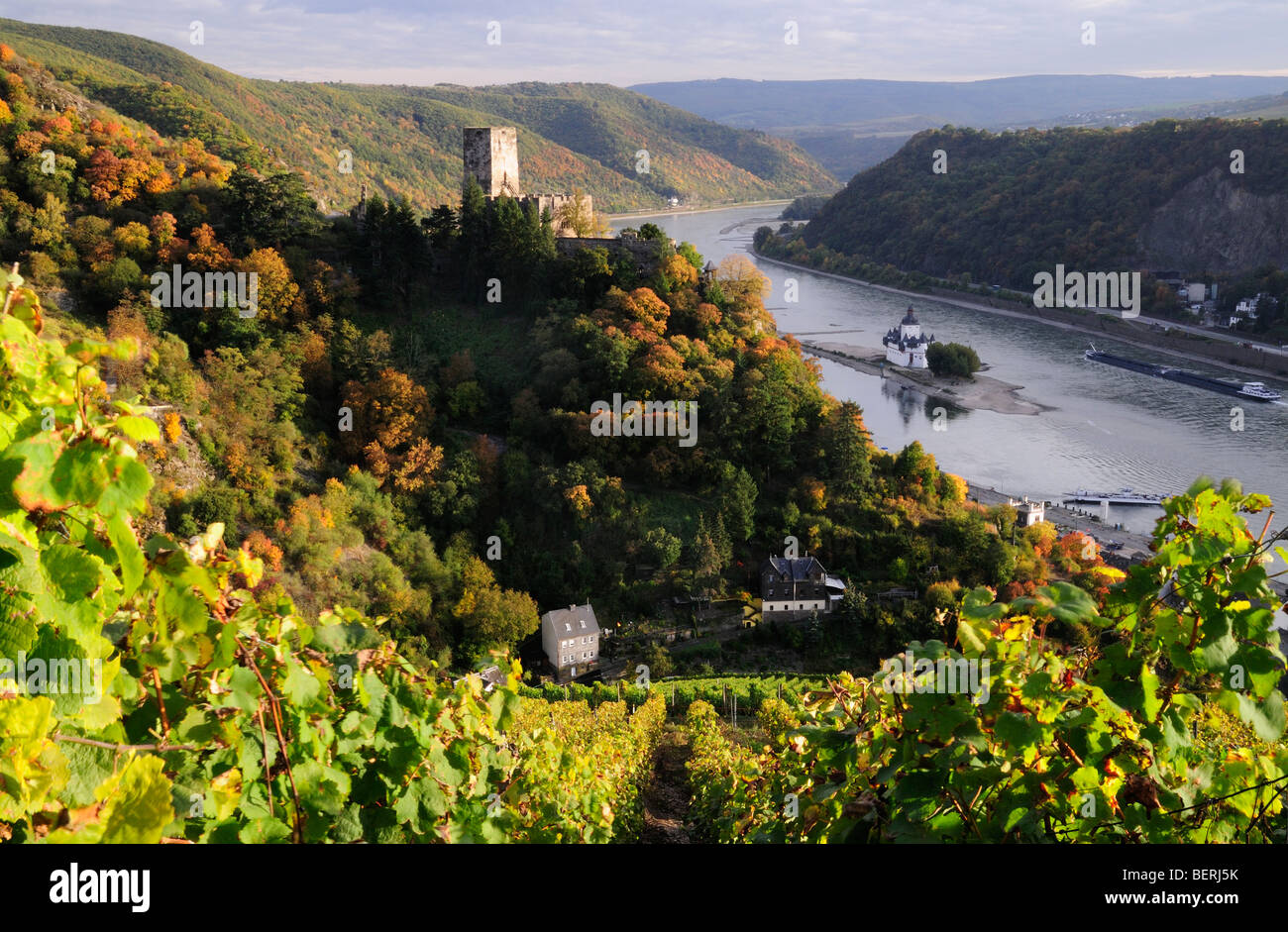 Rhein Tal Schloss Burg Gutenfels mit Weinbergen, Deutschland Stockfoto