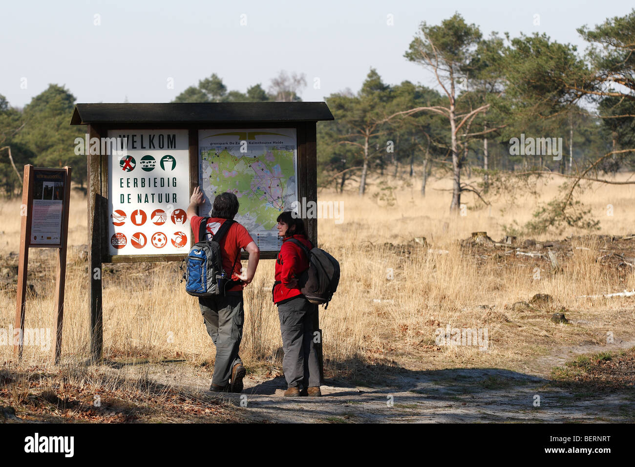 Wanderer sind lesen Info Panel im Wald, Natur reservieren Kalmthoutse Heide, Belgien Stockfoto