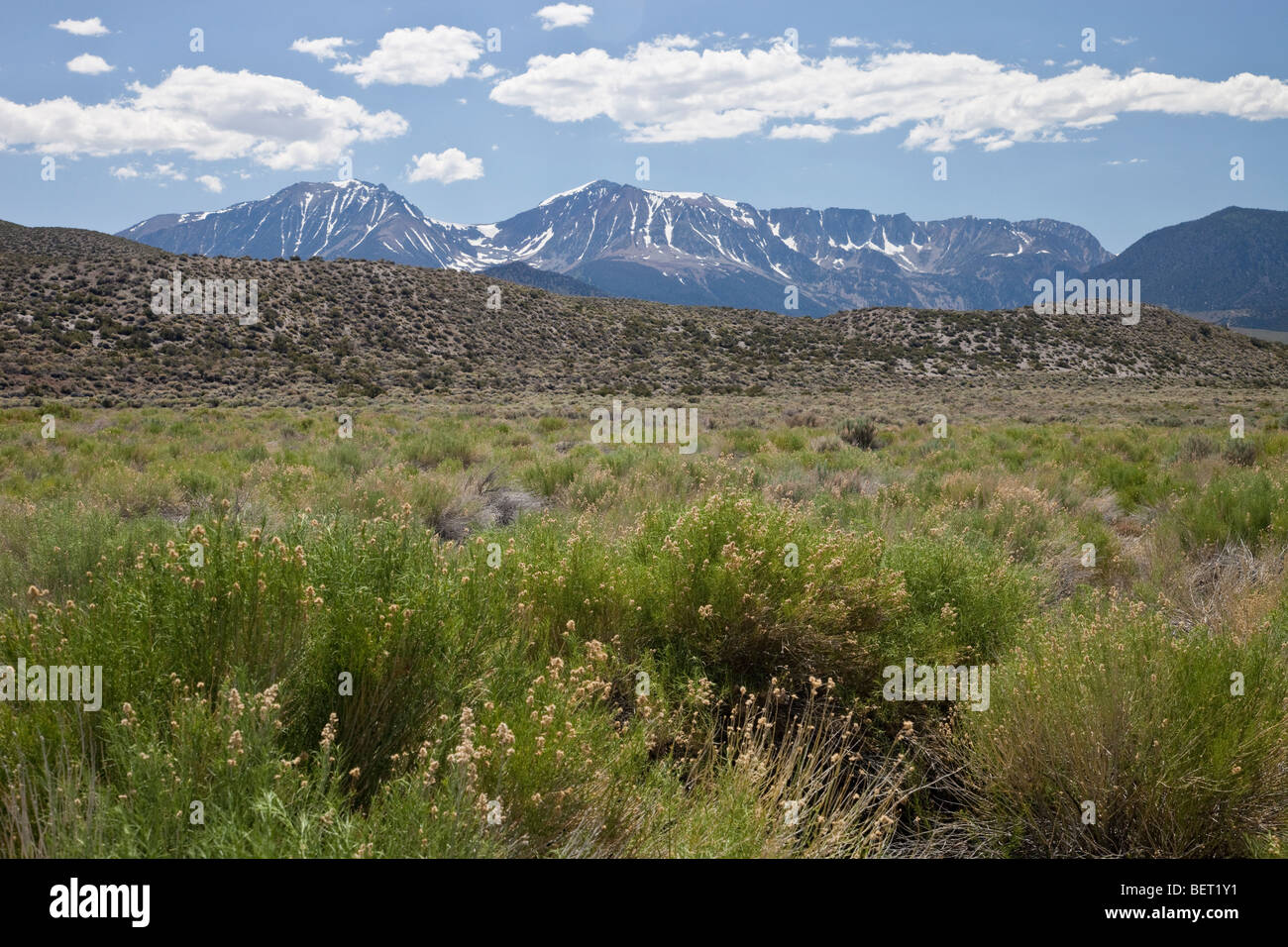 Die Sierras von Mono Lake, Kalifornien Stockfoto