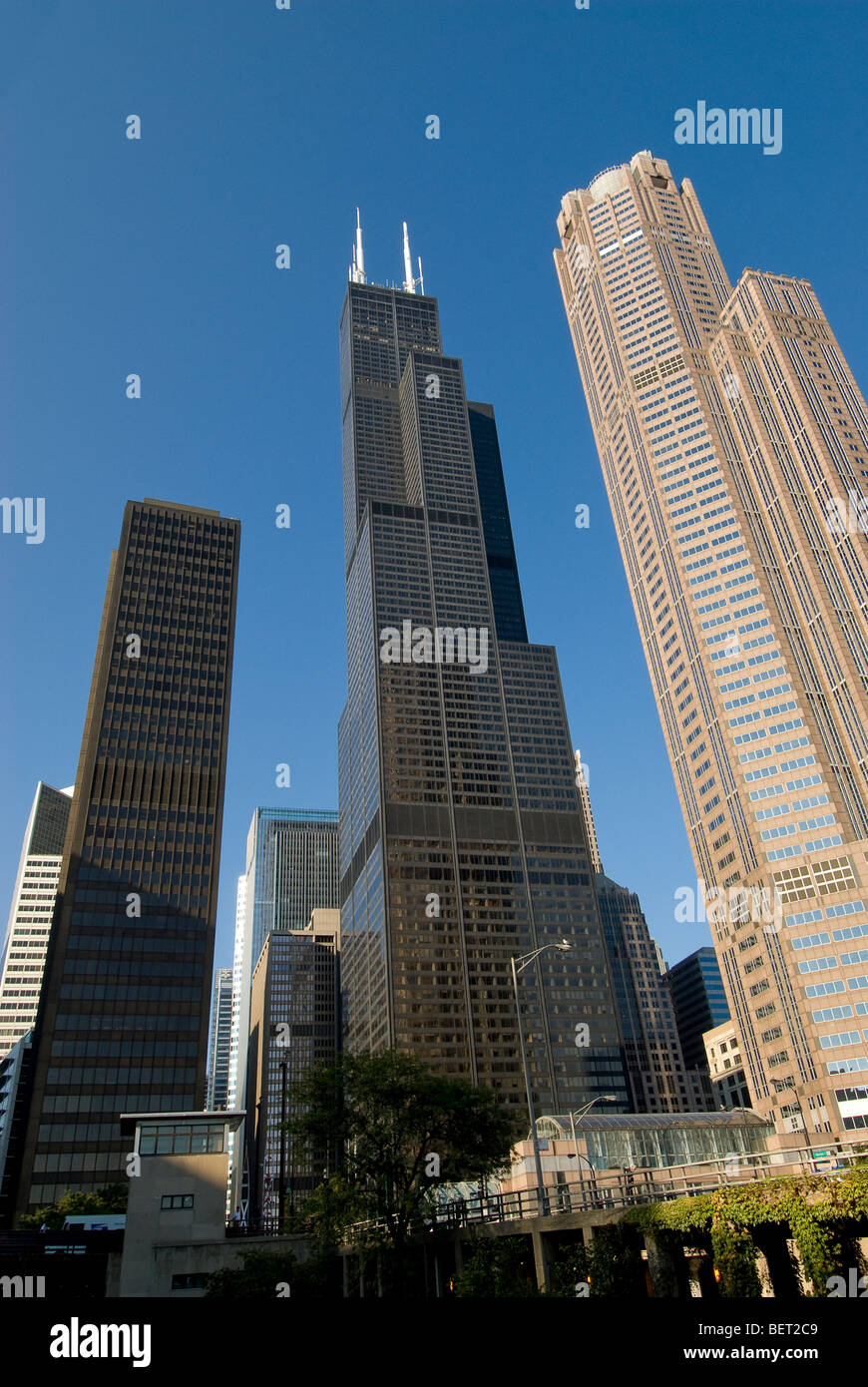Sears Tower umrahmt von Hochhäusern in Chicago, Illinois Stockfoto