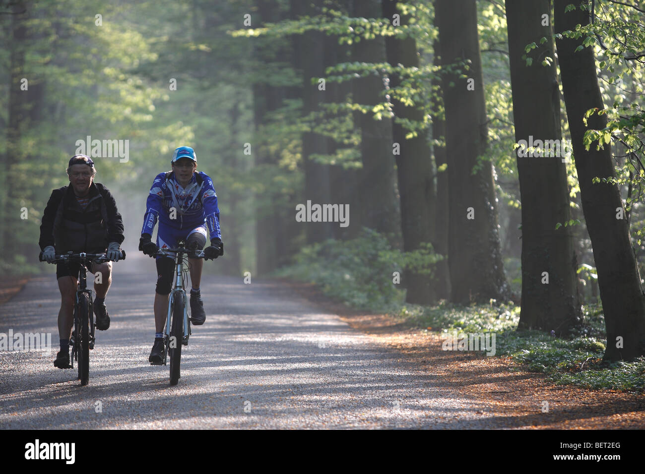 Mountain-Biker / Radfahrer im Wald, Hallerbos, Belgien Stockfoto