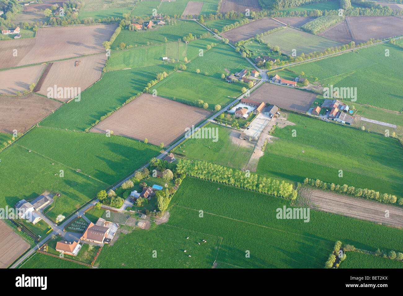 Urbanisierung an der Grenze der landwirtschaftlich genutzten Fläche mit Feldern, Wiesen und Hecken aus der Luft, Belgien Stockfoto