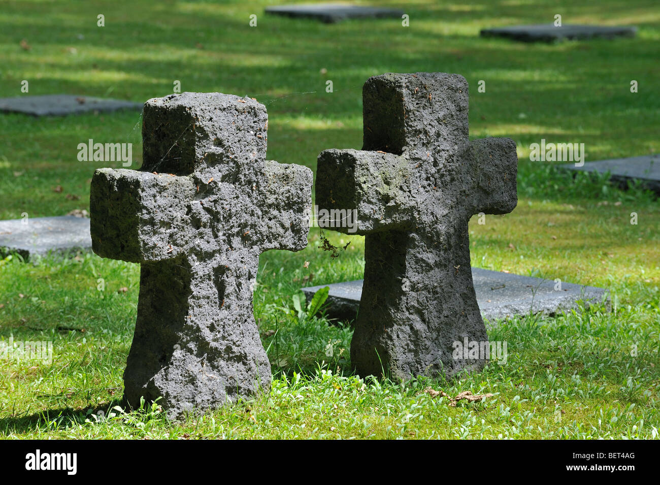 WW1 Steinkreuze und Grabsteine auf Weltkrieg deutschen Soldatenfriedhof in den Praatbos Wald, Vladslo, Belgien Stockfoto
