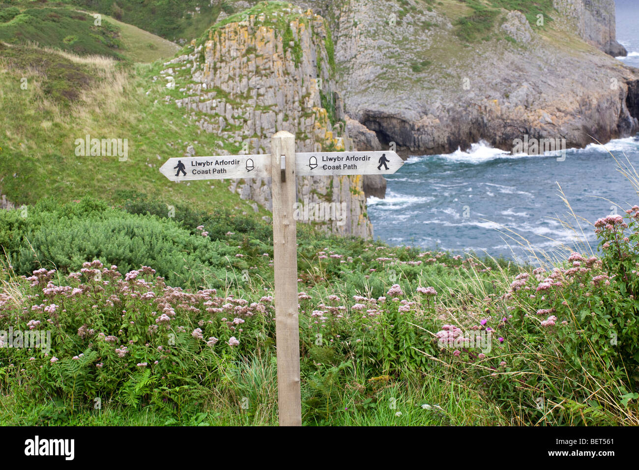 Der Pembrokeshire Coast Path National Trail in Skrinkle Haven, Pembrokeshire, Wales, Großbritannien Stockfoto