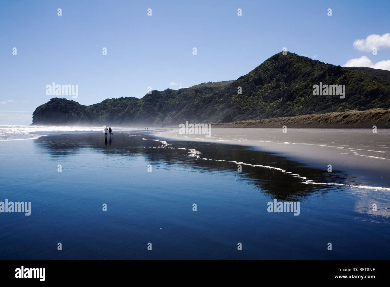 Piha Beach an der Küste der Waitakere Ranges Regional Park in Neuseeland. Stockfoto