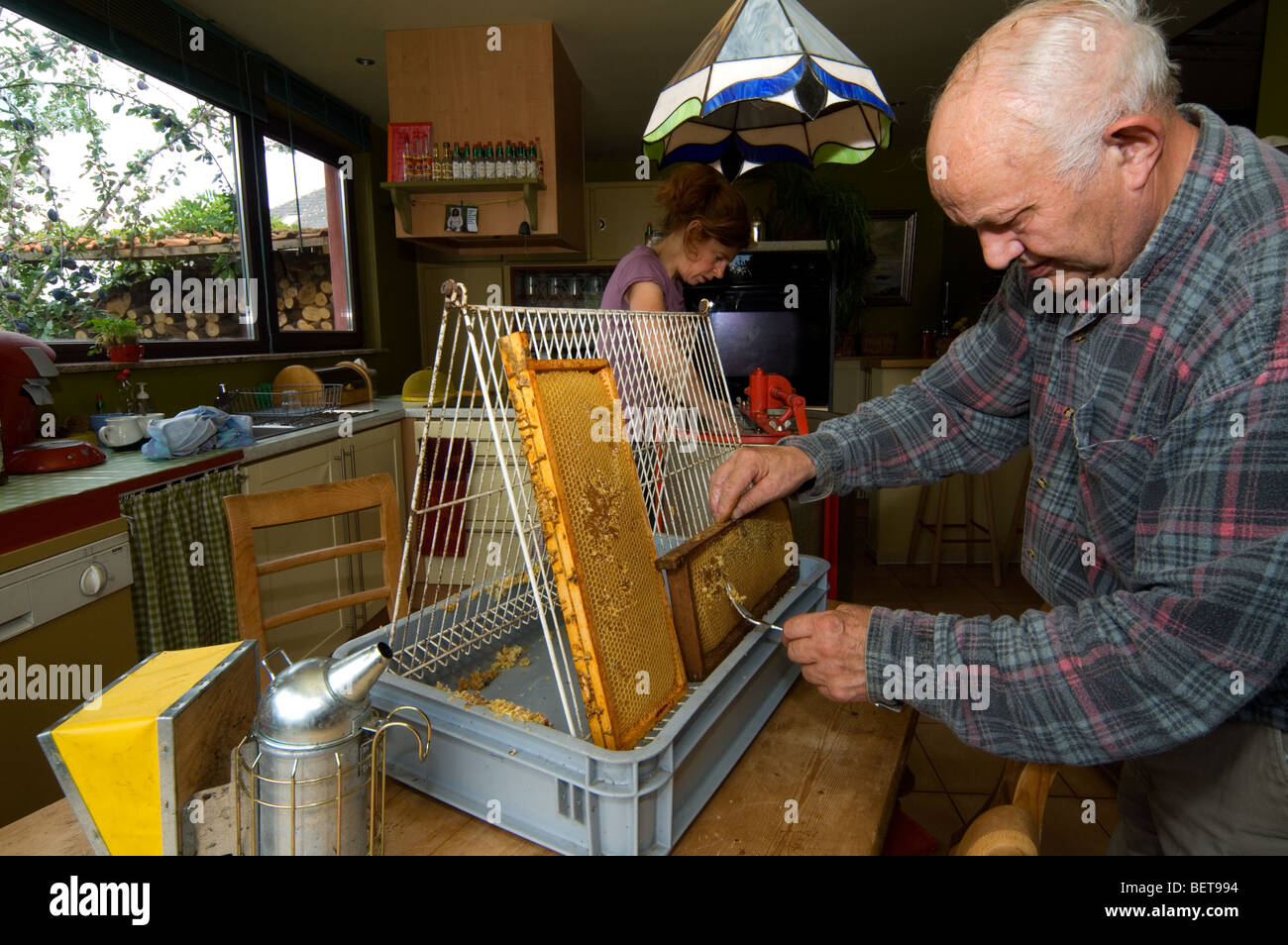 Imker entsiegeln die dünne Wachsschicht auf den Honigzellen Honig Kamm (Apis Mellifera), Belgien Stockfoto