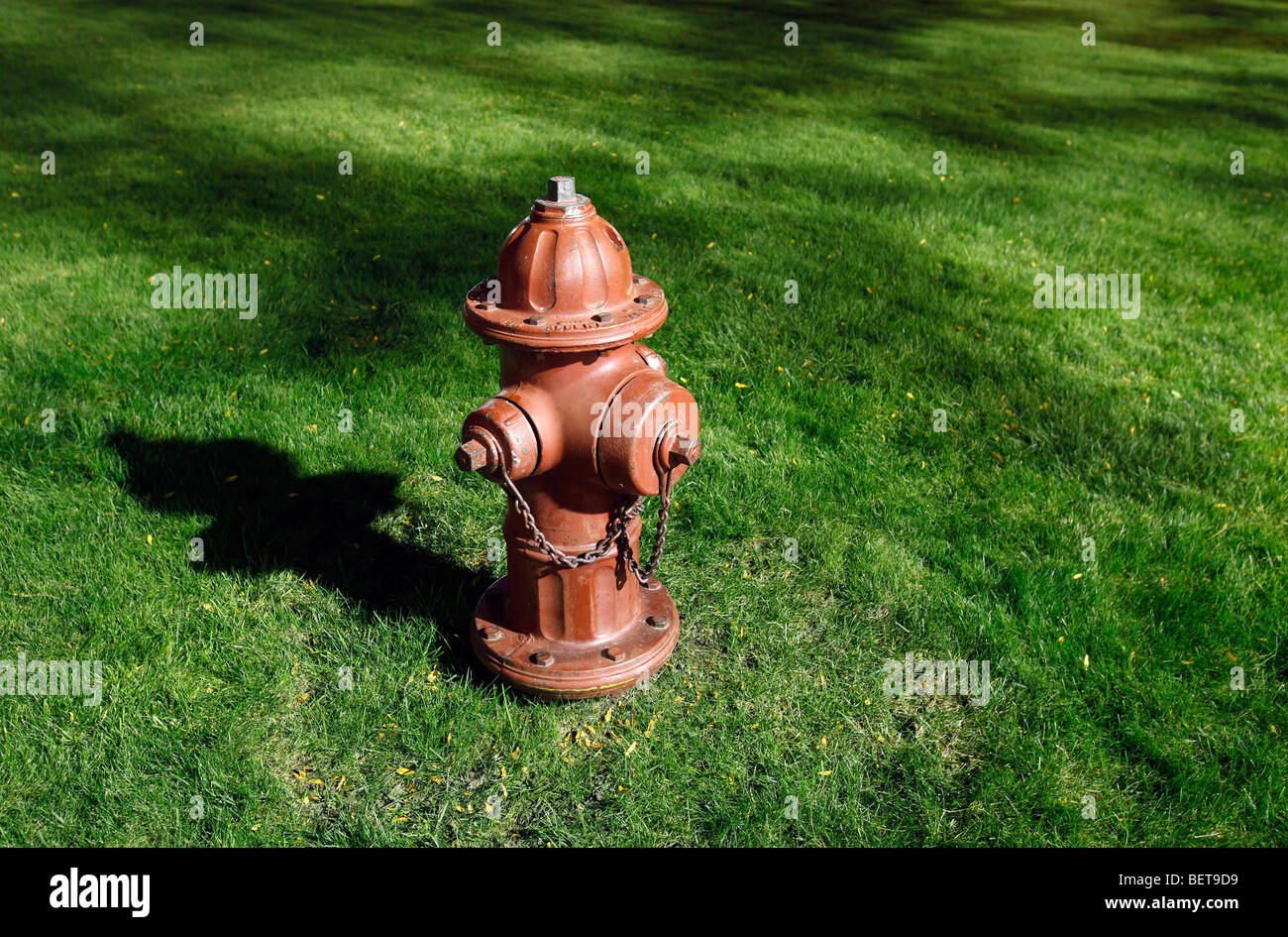 Red Fire Hydrant grünen Rasen Stockfoto