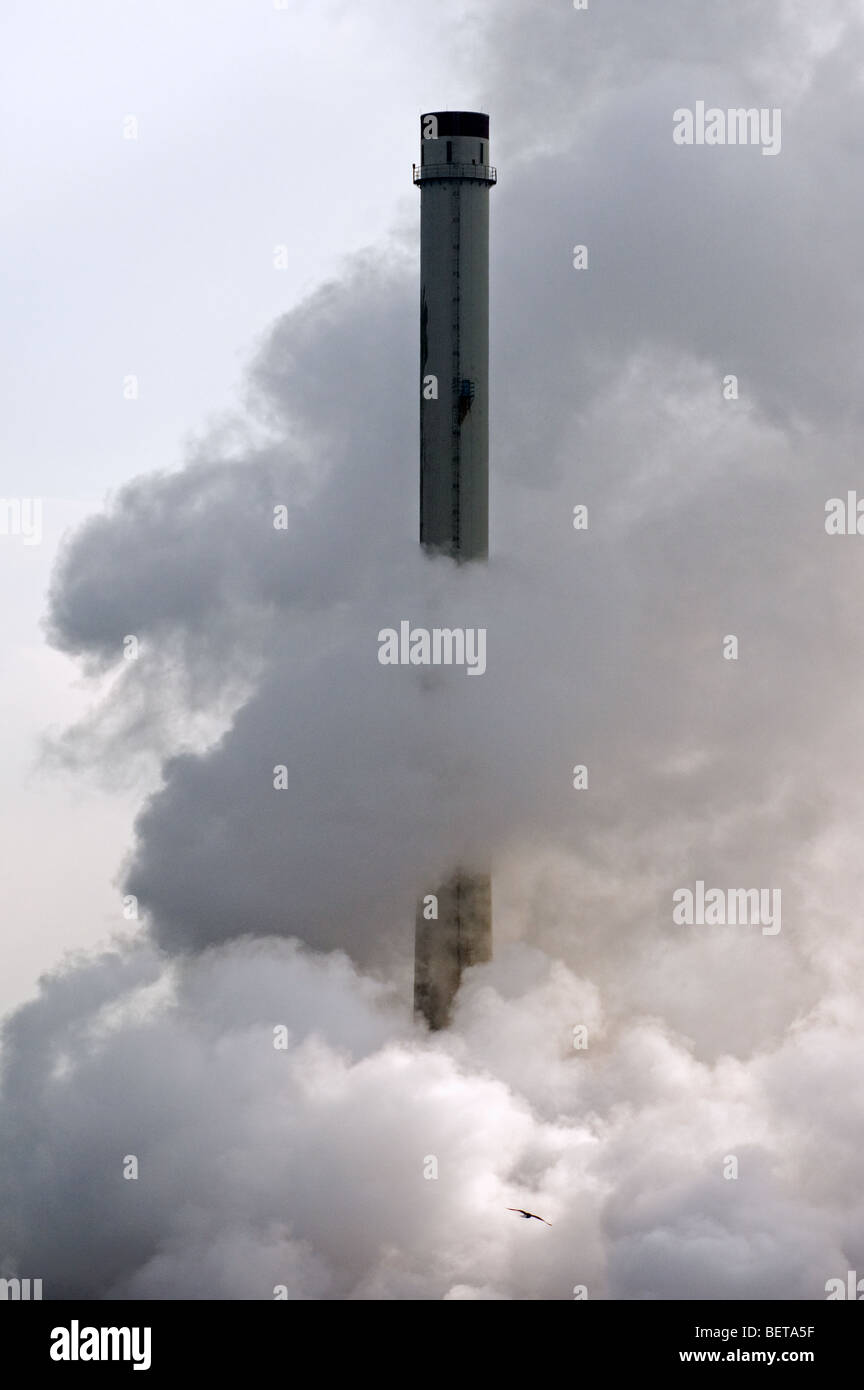 Konzeptbild zeigt Möwe fliegen in Wolke von Rauch aus dem Schornstein. Verunreinigung der Luft durch petrochemische Industrie Stockfoto