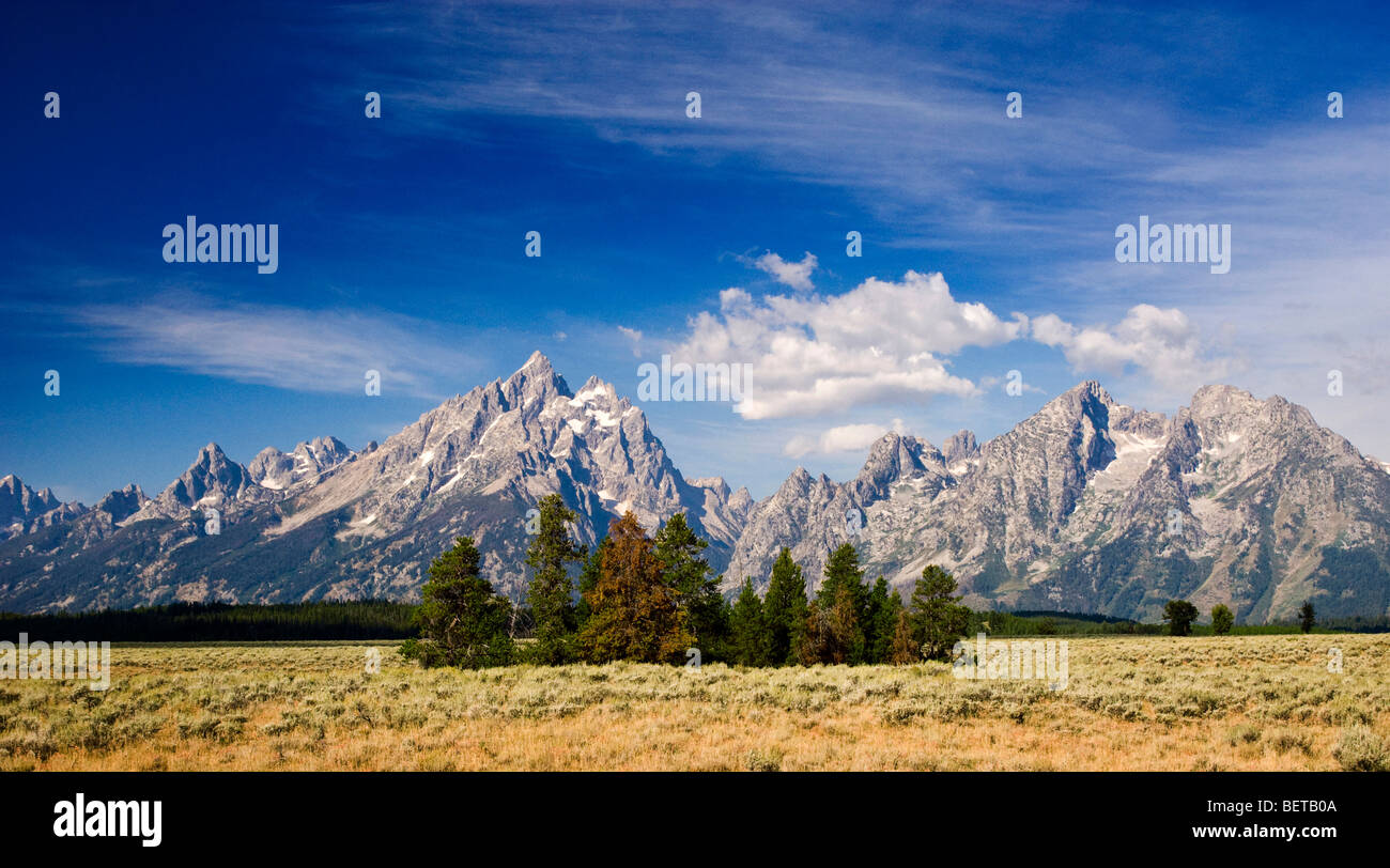 Grand Teton Berge Stockfoto