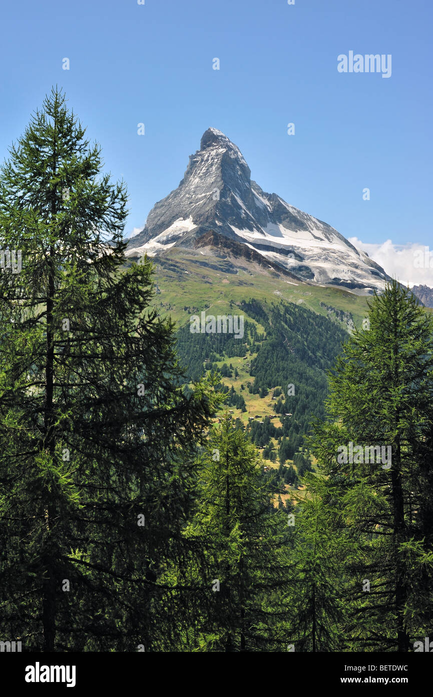 Matterhorn Berg mit Almwiesen und Pinienwälder in der Nähe von Zermatt, Schweizer Alpen-Valais / Wallis, Visp, Schweiz Stockfoto
