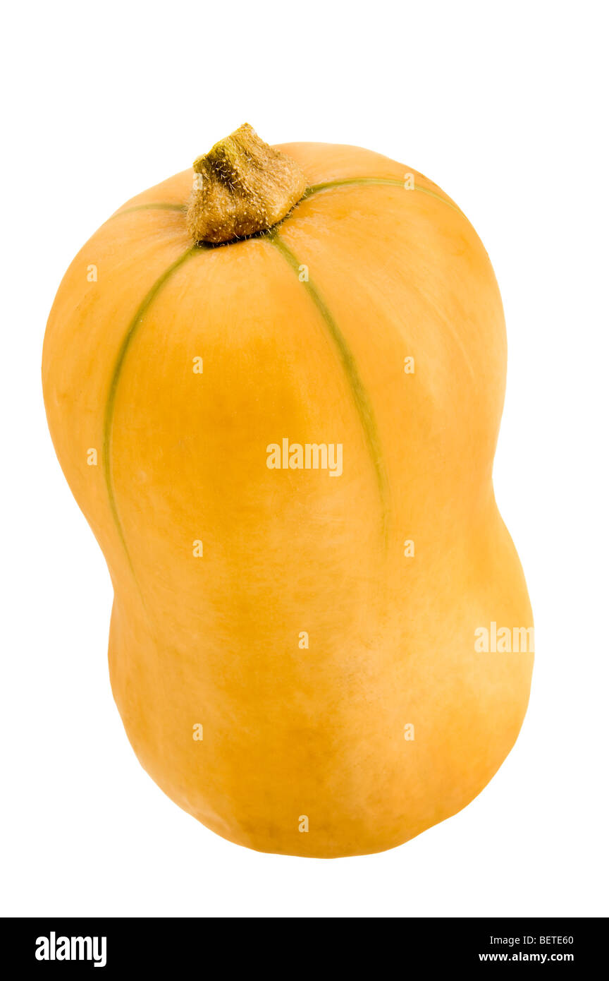 Butternut Butter Nuss Kürbis Kürbis Kürbis Knochenmark Cucurbit Spezialnahrung Obst Hülsenfrüchte Gemüse Veggie frische Haut ruffy crimpy Stockfoto