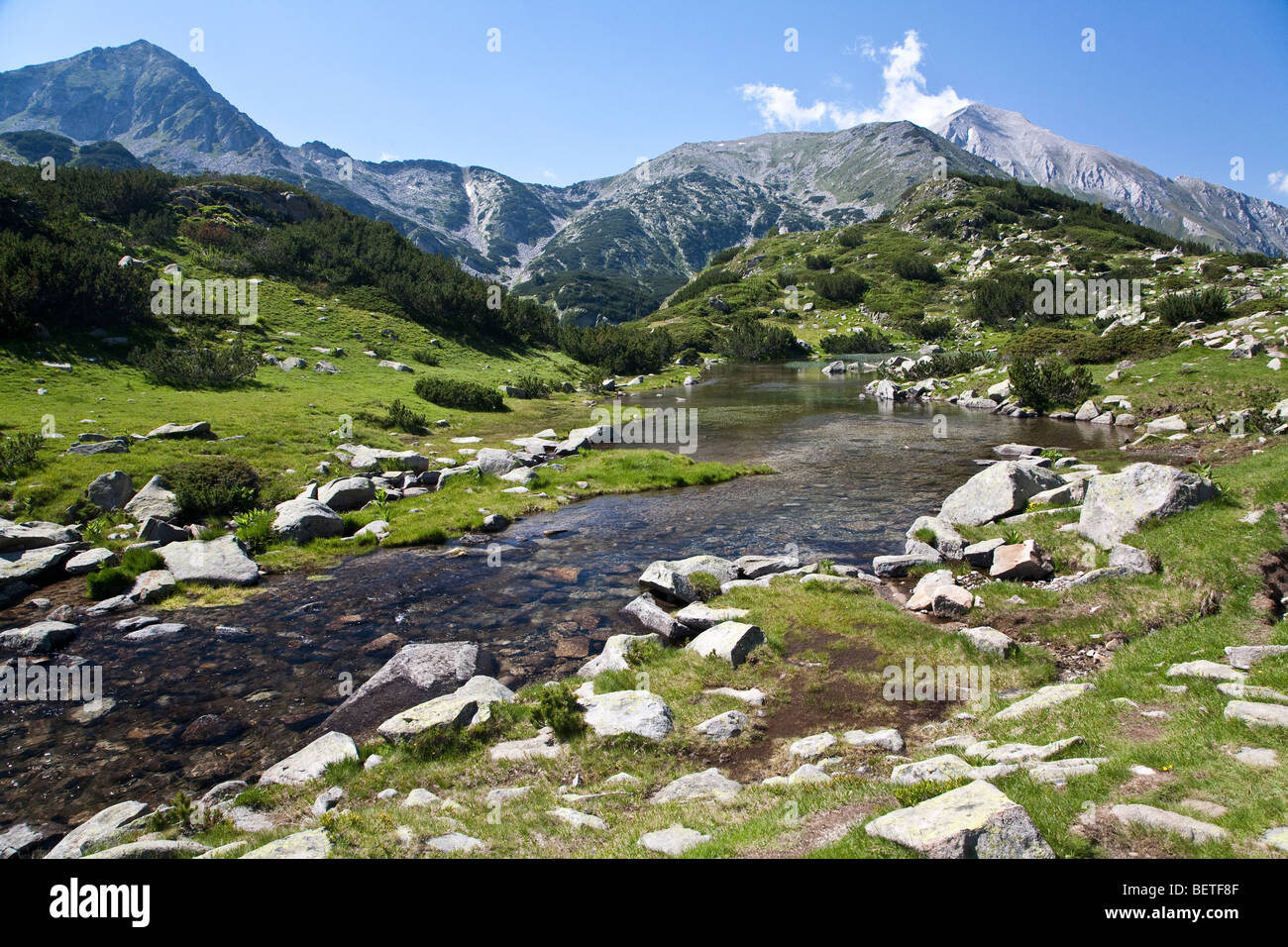 Kleiner Fluss im Sommer in den hohen Pirin, Bulgarien Stockfoto