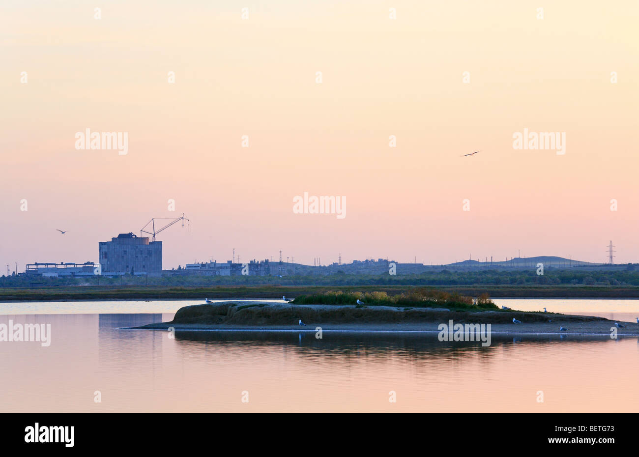 unvollendete Fahnenflucht energetische Block des Atomkraftwerks und Möwe Herde (in der Nähe von Scholkino Town, Krim, Ukraine). Stockfoto