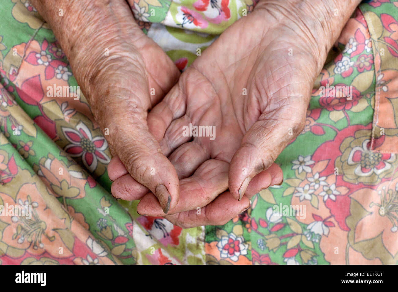 Nahaufnahme der faltige Hände eine alte Bäuerin aus Böhmen, Tschechische Republik Stockfoto