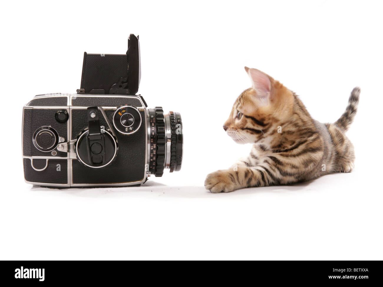 Pose posiert studiofoto Ausgeschnittene Stockfotos und -bilder - Alamy