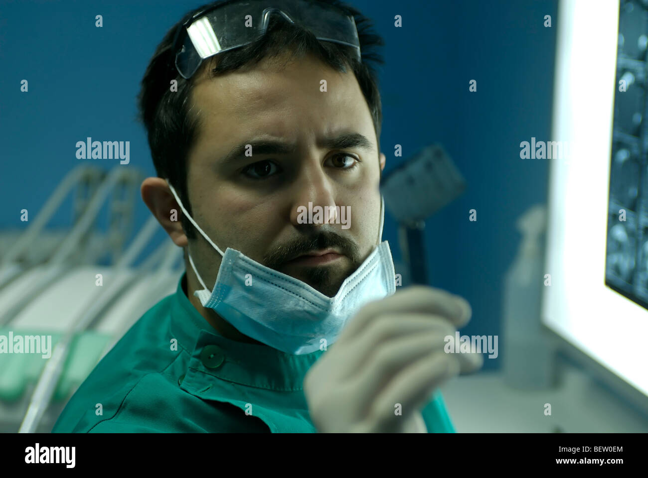 Kaukasische junge Arzt Examing ein X-raygraphie Stockfoto