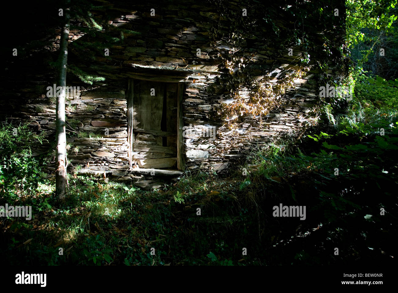 Haus im Wald Stockfoto