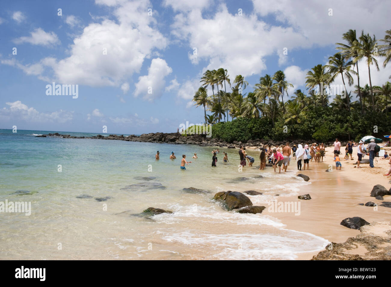 Leute zu beobachten, grüne Meeresschildkröten schwimmen, Laniakea Beach, Honolulu, Hawaii Oahu island Stockfoto